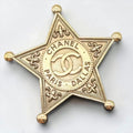 Chanel 2014 Paris Dallas Gold Star Badge CC Brooch